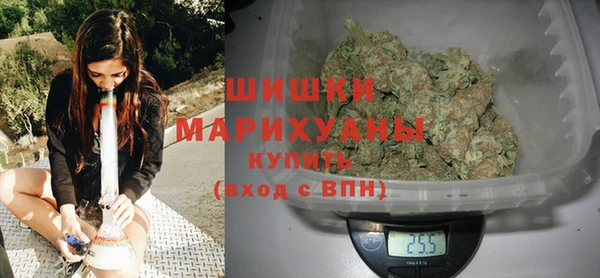 хмурый Новозыбков