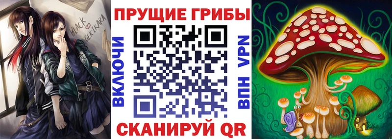 купить наркотик  Хадыженск  гидра ТОР  нарко площадка телеграм  Галлюциногенные грибы Psilocybine cubensis 